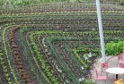 Caraluepermaculture-5.jpg; ?>